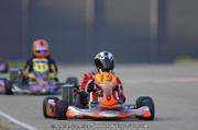 DSC_0011 (2)